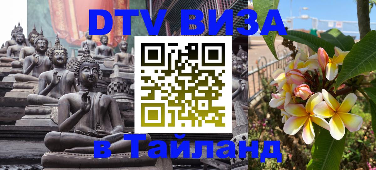 Оформление DTV визы под ключ: стоимость и тарифы, только загранпаспорт - Щёлково  09.01.2026 